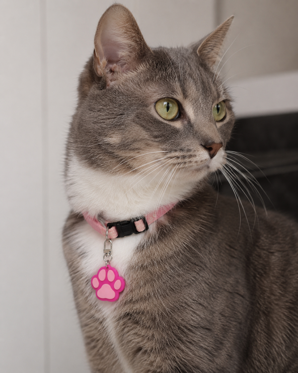Łapka Pink